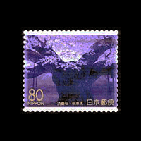 「淡墨桜」切手