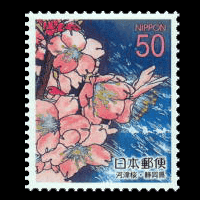「河津桜」切手